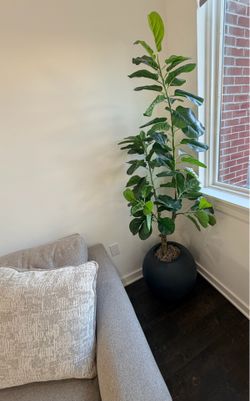 Artificial Fiddle Leaf Fighting Tree