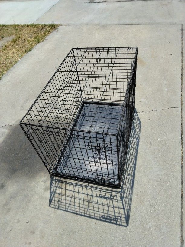 Dog 🐶 Crate Large