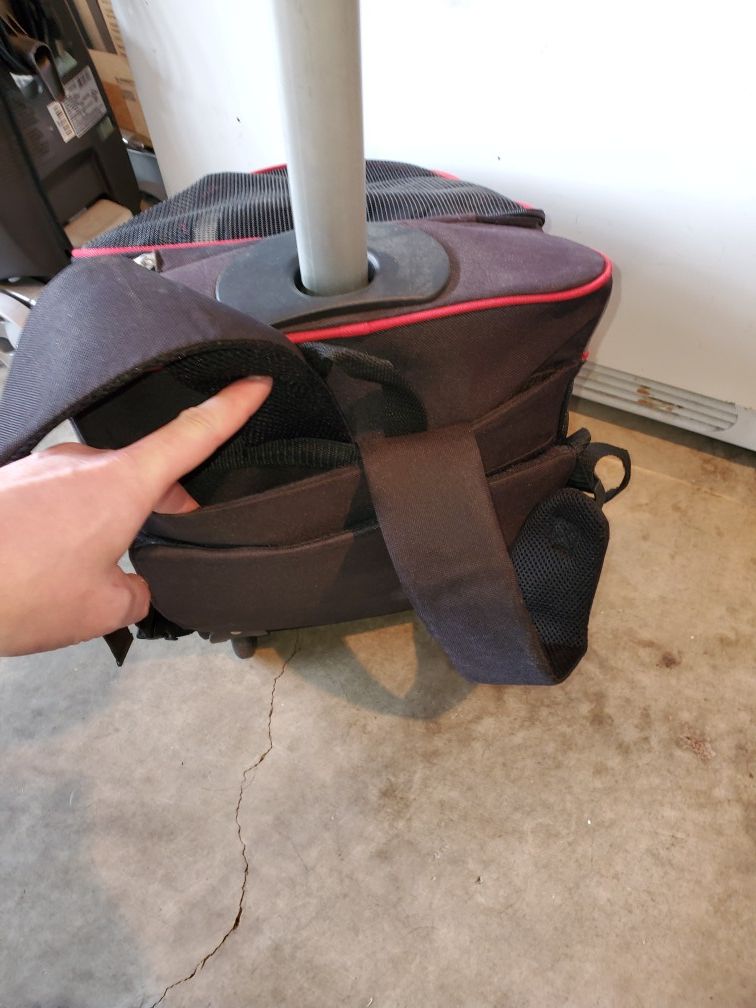 Small dog push, pull on wheels or backpack