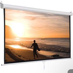 Zeny 120” Projector Screen