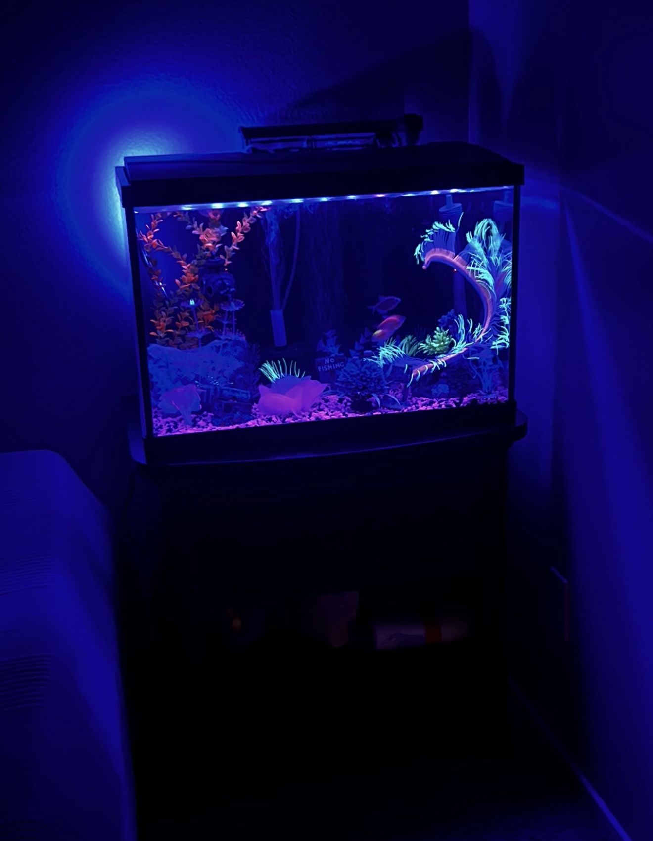 Tank With Stand