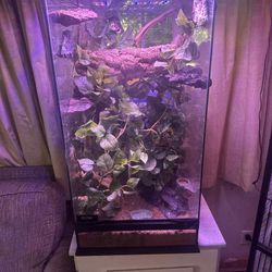 Reptile Enclosure 