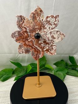 Crystal Lace Agate Pinwheel