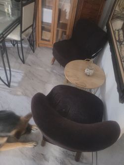Dark Brown Velvet Accent Chairs Set of 2