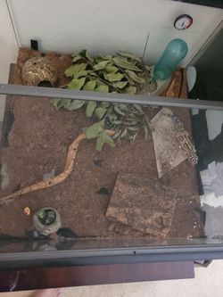 Tank for sale 2x2
