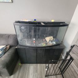 75 Gallon Bowfront Aquarium with FX6 Filter, Stand, And Coral