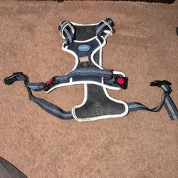ThinkPet harness 