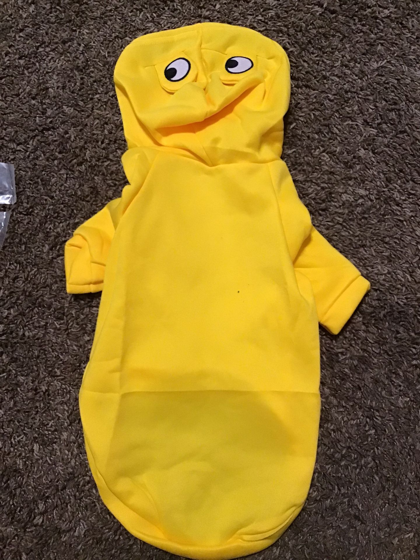 Dog Says xl But Very Small Sweatshirt