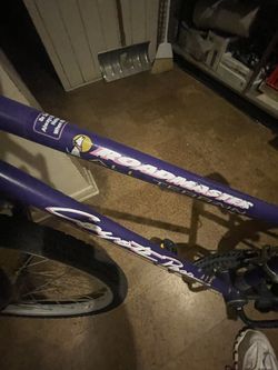 Road master Coyote Pass Bike 10 Speed