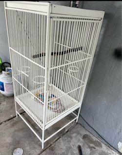 Bird cage 🦜