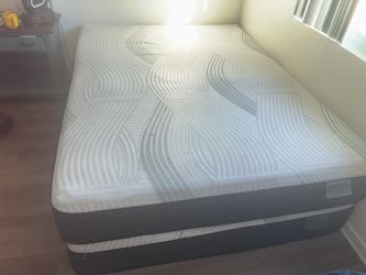 2 X. Queen revive mattress by living spaces island series a total of two mattresses for the  500.00