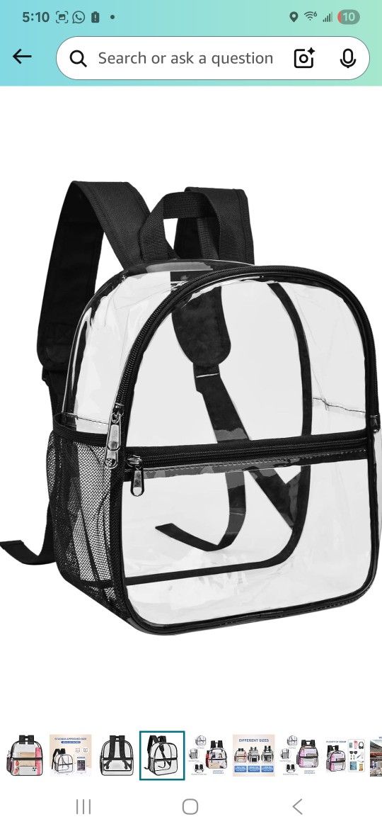 Clear Backpack