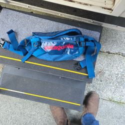 New Patagonia Hip Pack