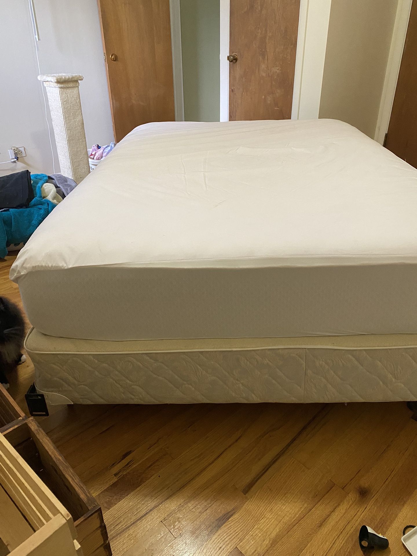 Full Size Mattress, Box Spring, And Frame