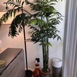 Faux Bamboo Plant