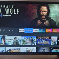 Insignia Fire TV 32" HD F20 Series Like New 