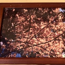 Scenic pictures of Riverview Park