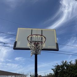 Basketball Hoop
