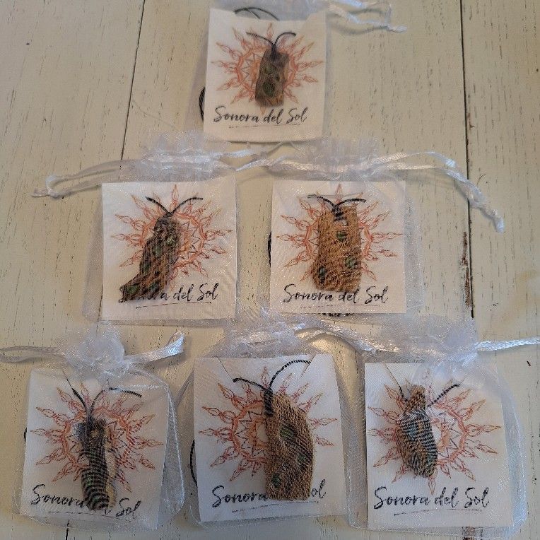 Cholla Peridot Necklace