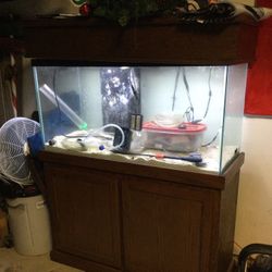 100 Gallon Fish Tank