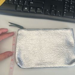 Silver Makeup Bag