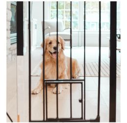 Carlson Extra Tall Walk Through Pet Gate with Small Pet Door, for Openings36" Tall by  29"-36" Wide,Includes 4-Inch Extension Kit,