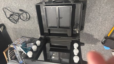 Professional Makeup Artist Train Case with Lights (AIV)