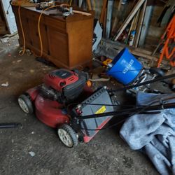 Lawnmower Gas