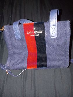 Kate spade mini bag