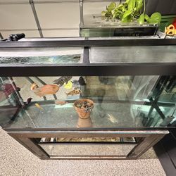 75 gallon fish tank