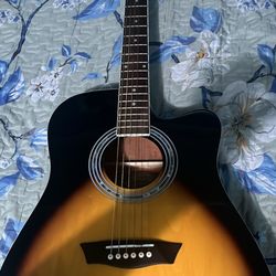 Wash Burn Guitar 