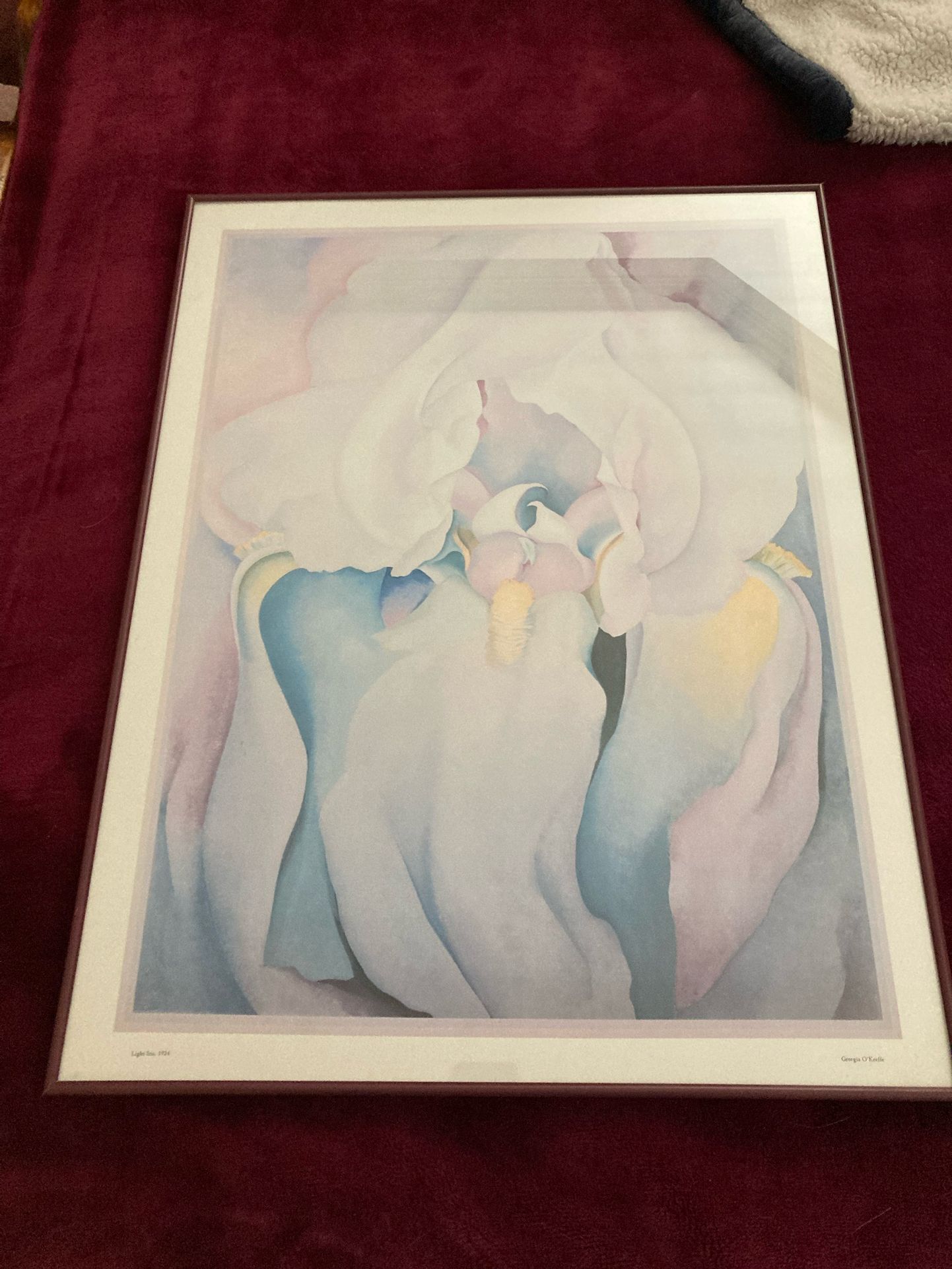 Beautiful Georgia Okeffe Matted Flower Picture In Burgundy Metal Frame 27-1/4” Tall By 21” Wide