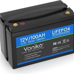 12V 100Ah LiFePO4 Lithium Battery, 2000+ Cycles, Rechargeable, Built-in Smart BMS
