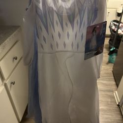 Elsa Costume