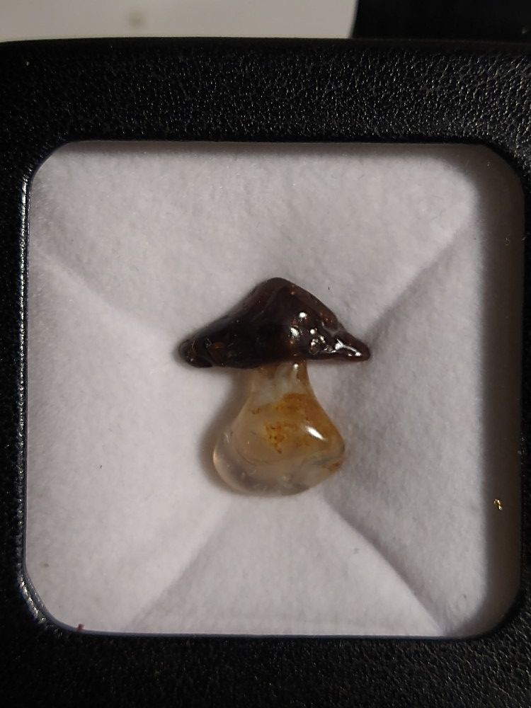 fire agate mushroom in display 