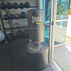 Everlast Punching Bag 