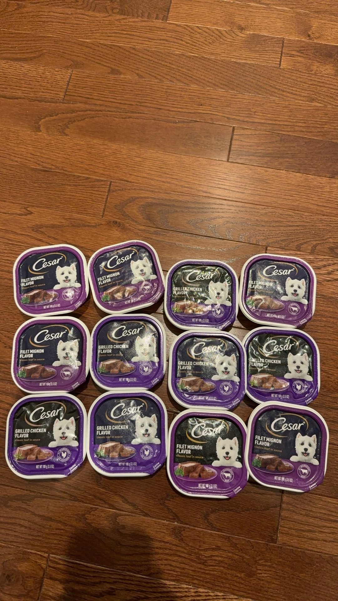 Casar dog wet food 12 For $10