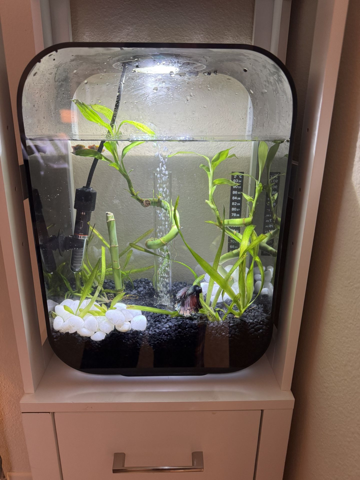 FREE BiOrb Sleek Black Design 4 Gallon Beta Or Small Fish Aquarium