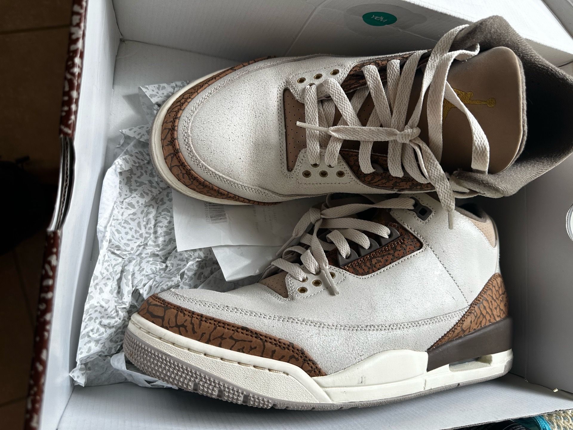 Size 10.5 Jordan retro 3
