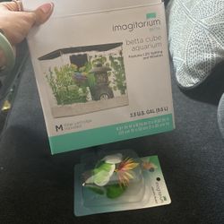 Betta Cube Aquarium + Other Thing’s With It