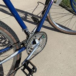 Raleigh Technium 18 speed bike