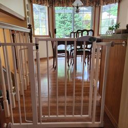 Dog Gate 