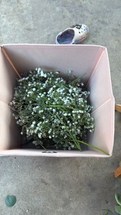 White flowers