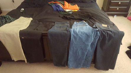 Dickies/Polo Jeans