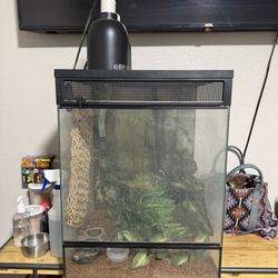 Reptile Enclosure 