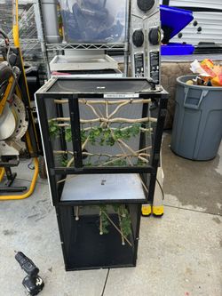 Chameleon Cage 