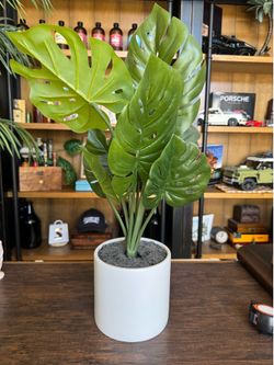 Nearly natural Monstera artificial plant 26”H x 7” wide -like new