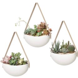 Ceramic Plant hanger (plants are not included )