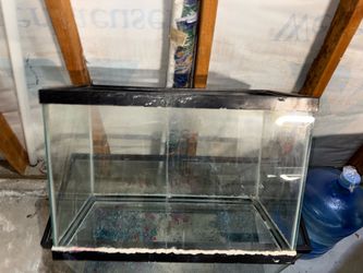 Fish tank around 15-20 gallons