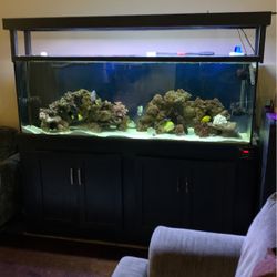 135 Gal. Salt Water Aquarium